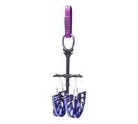 Black Diamond Friend Camalot C4 5 Violet