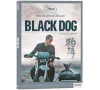 Black Dog