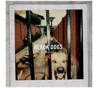 Black Dogs [Analog]