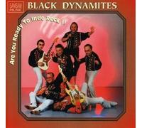 Black Dynamites, the - Are You Ready to Indo Rock