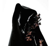 Process of Guilt Black Earth (Vinyl) 12" Album