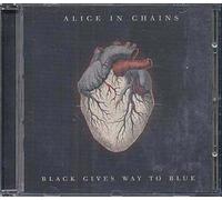 Black Gives Way To Blue