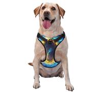 Black Hole Harnais pour chiens de petite, moyenne et grande taille - Sangles réfléchissantes, ajustement réglable avec boucles à dégagement rapide