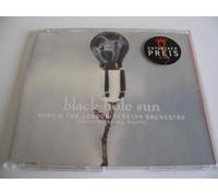 Black Hole Sun