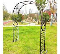Black Iron Arch for Garden, Wedding & Party Decoration, Plant Support Trellis, Weather-Resistant Metal Frame, 300×230cm, Elegant Climbing Plant Holder