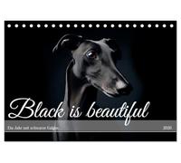 Black is beautiful (Tischkalender 2026 DIN A5 quer), CALVENDO Monatskalender: Schwarze Galgos sind echte Schönheiten