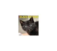Black Kittens 2026 Wall Calendar