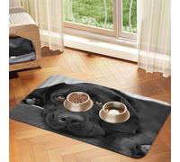 Black Lab Labrador Dog Puppy Cute Dog,Waterproof Pet Feeding Mat,PU Leather Placemats for Cat Dog Water Bowl,Food Mats,40x60cm