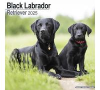 Black Labrador Retriever Calendar 2025 Square Dog Breed Wall Calendar - 16 Month