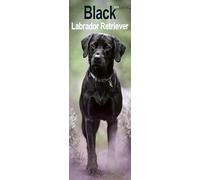 Black Labrador Retriever Slim Calendar 2025 Dog Breed Slimline Calendar - 12 Month