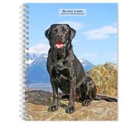 Black Labrador Retrievers | Calendrier hebdomadaire de fiançailles 2026 15,2 x 19,5 cm à spirale à spirale | Nouvelle image en couleur chaque semaine | BrownTrout | Animaux et races de chiens