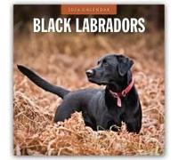 Black Labrador Retrievers - Schwarze Labrador Retriever 2026 - 16-Monatskalender