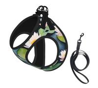 Black Lily Pads Ensemble harnais pour chien avec laisse et gilet rembourré épais pour chiens de très petite et moyenne taille