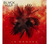 Black Map In Droves (Vinyl)