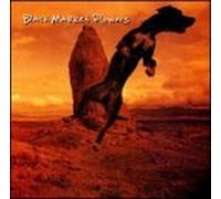 Black Market Flowers - Bind