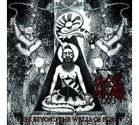 Black Mass Pervertor - Life Beyond the Walls of Flesh (Vinyl)