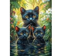 Black Mère Chat et Ses Chatons Puzzles 500 Pièces pour Adultes Educa Challenge Créatif Difficile 3D Qualité Supérieure Décoration Moderne Relaxation Cadeau 500 PCS