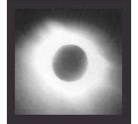 Black Meteoric Star - No More White Presidents [Import]