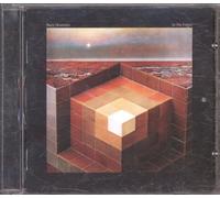 Black Mountain - in The Future