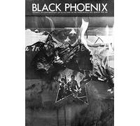 Black Phoenix: Third World Perspective on Contemporary Art and Culture