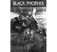 Black Phoenix: Third World Perspective on Contemporary Art and Culture