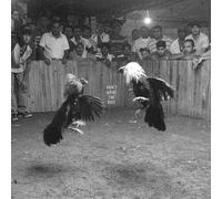 Black Pistol Fire Don't Wake The Riot (2016)