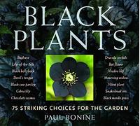 Black Plants: 75 Striking Choices for the Garden