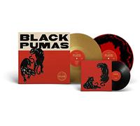 Black Pumas Vinyle Coloré