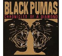 BLACK PUMAS - CHRONICLES OF A DIAMOND【帯付】 [Analog]