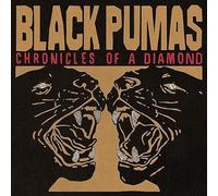 Black Pumas - Chronicles of a Diamond