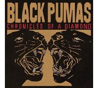 Black Pumas - Chronicles of A Diamond