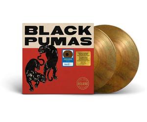 Black Pumas Lava Colored
