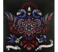 Black Pussy - Where the Eagle Flies