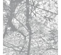 Black Rain - Obliteration Bliss