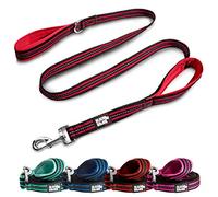 Black Rhino Laisse pour Chien - Robuste - Chiens de Taille Moyenne et Grande | Laisse de 1,5 m de Long | Deux poignées Confortables rembourrées pour Un entraînement au contrôle de sécurité - Laisse