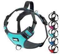 Black Rhino Le Harnais pour Chien Confort avec Filet rembourré Gilet pour Les Petites Races de Grande Taille | réglable | réfléchissant | 2 pièces jointes sur la Poitrine Leash (Petit, Aqua/GR)