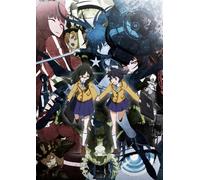 Black Rock Shooter 4 [Import allemand]