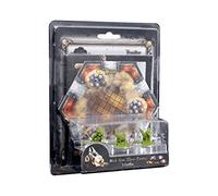 Black Rose Guerre : Familiars: Griffin