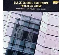 Black Science Orches - Walter'S Room (Deleted) [Vinyl LP]
