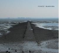 Black Sea by FENNESZ (2008-11-25)
