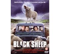 Black Sheep