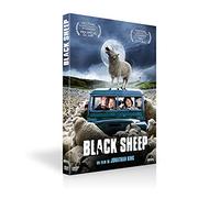 Black Sheep