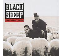 Black Sheep - A Wolf in Sheep's Clothin