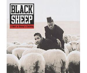 Black Sheep - A Wolf in Sheep's Clothin