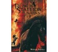 Black Stallion and Satan, Black Stallion Series Walter Farley (Auteur)