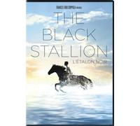 Black Stallion, The