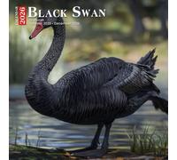 Black Swan Calendar 2026: Elegant Lakeside Dancers in Graceful Poses