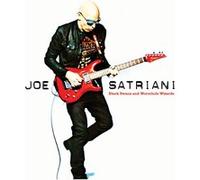 SATRIANI, JOE - Black Swans and Wormhole Wizards