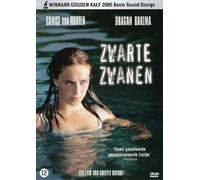 Black Swans ( Zwarte Zwanen )