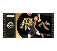 Black Ticket Haikyu!! - Hinata Col01
